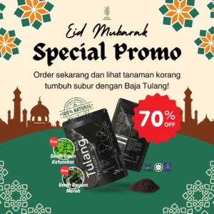 Set Promo Raya 2025