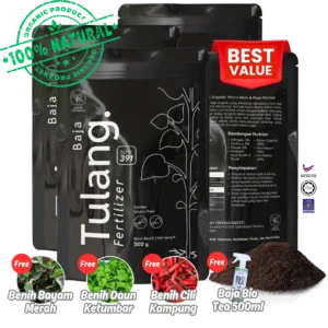 Set 4 Pek Baja Tulang + Free Gift